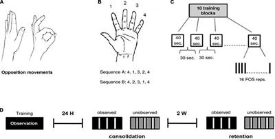 Skill-learning by observation-training with patients after traumatic brain injury